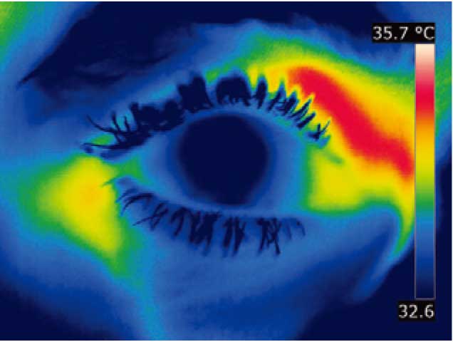 サーモグラフィ T1050SC 【FLIR】の仕様用途例