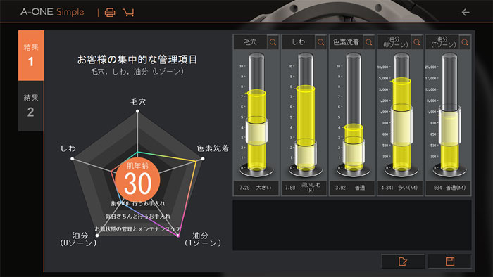 解析結果画面