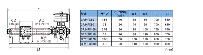 CR2-PK100-BV