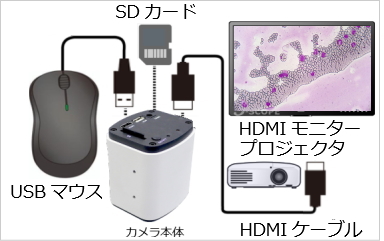 HDMI出力マイクロスコープ HF-1000  (USB・画像連結ソフト付)【Jスコープ】をHDMIモニターに接続