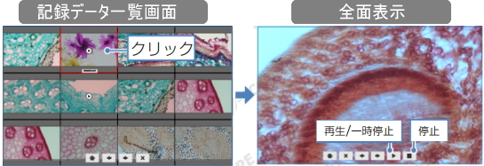 HDMIモニターに接続で再生