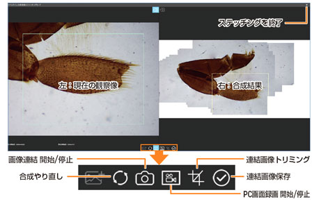 スティッチング機能