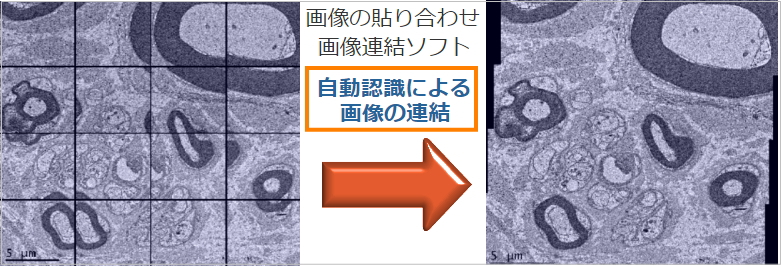 画像ステッチング（タイリング/画像連結）