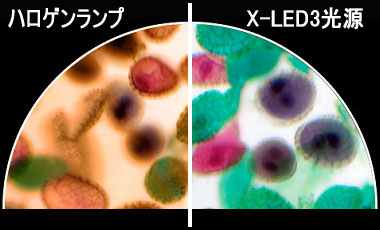 生物顕微鏡JB-383PH（位相差顕微鏡・暗視野顕微鏡）