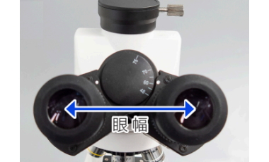 生物顕微鏡JB-383PH（位相差顕微鏡・暗視野顕微鏡）